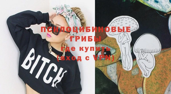 СК Алексеевка