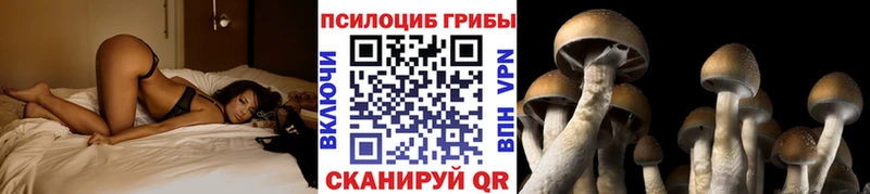 shop клад  где продают   Балабаново  Псилоцибиновые грибы Magic Shrooms 