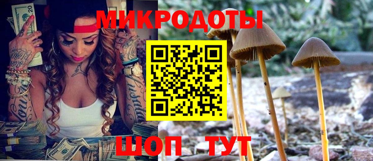 Балабаново  Псилоцибиновые грибы Cubensis  Вход с VPN  Галлюциногенные грибы Cubensis 